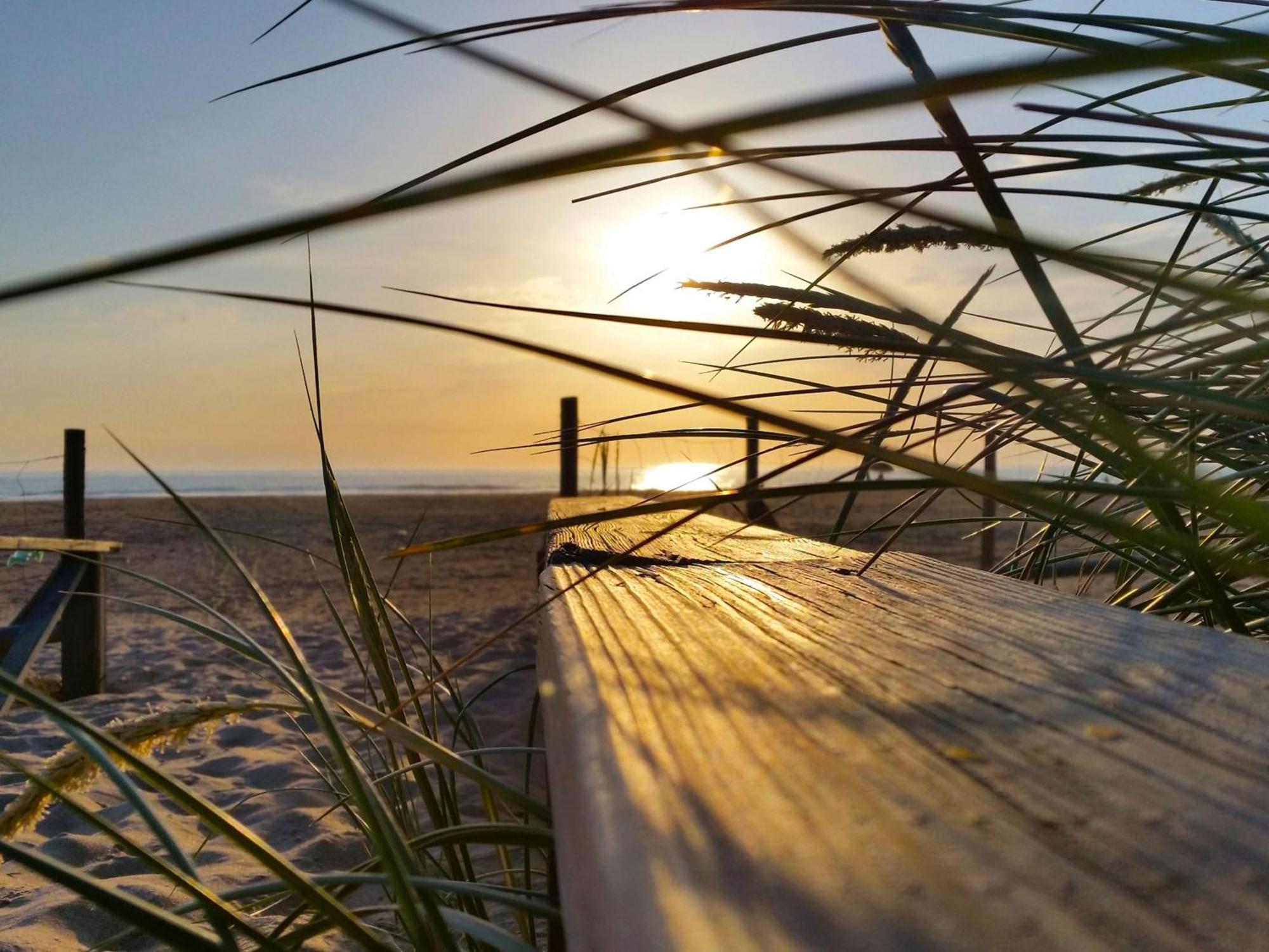 Agoodplan Dehesa De El Palmar Daire Cadiz Dış mekan fotoğraf